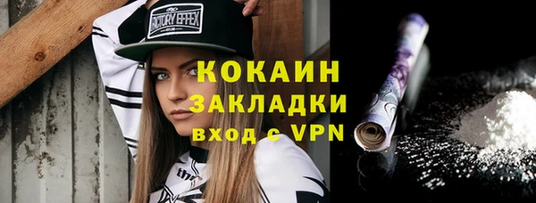 прущие грибы Абаза
