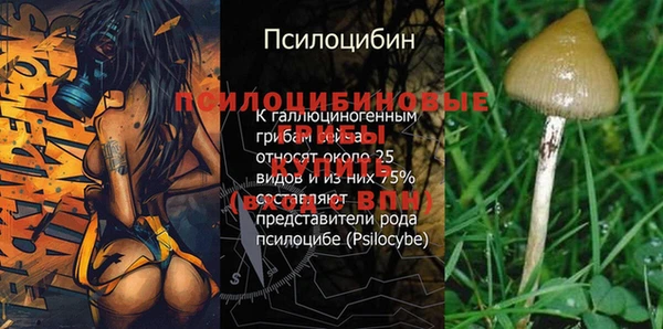 спиды Абдулино