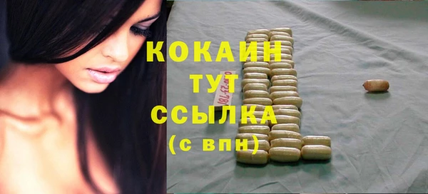 прущие грибы Абаза