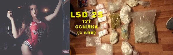 прущие грибы Абаза