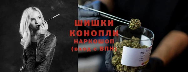 прущие грибы Абаза