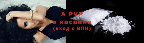 прущие грибы Абаза