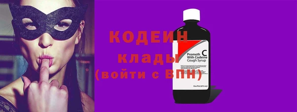 шишки Видное