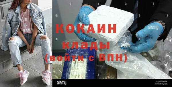 прущие грибы Абаза