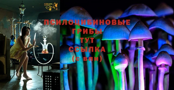 ПСИЛОЦИБИНОВЫЕ ГРИБЫ Абинск