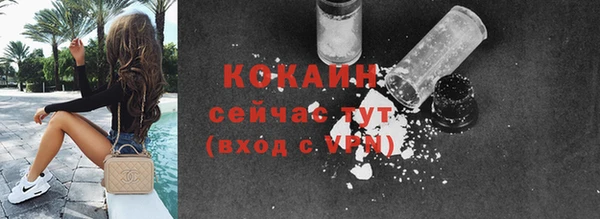 прущие грибы Абаза