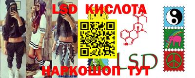 прущие грибы Камышлов