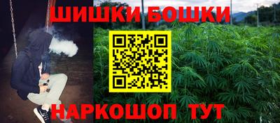 прущие грибы Камышлов