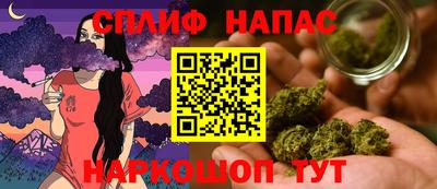 прущие грибы Камышлов