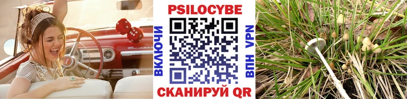 Псилоцибиновые грибы Magic Shrooms  где купить наркоту  Камень-на-Оби 