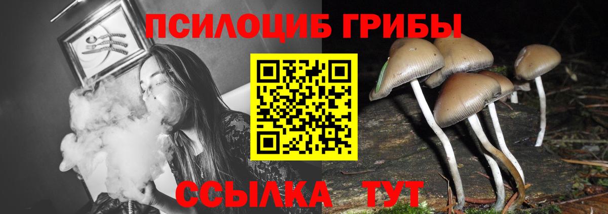 Псилоцибиновые грибы MAGIC MUSHROOMS  Вход с VPN  Камень-на-Оби 